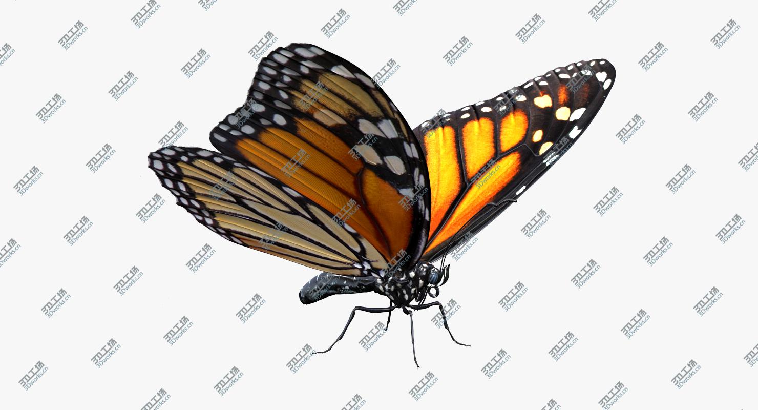 images/goods_img/20210114/3D model Danaus Plexippus Butterfly/3.jpg